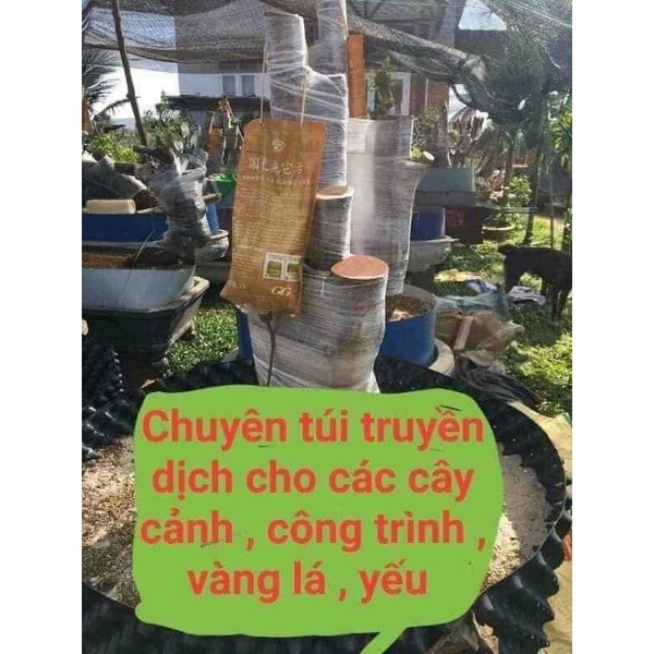 dịch truyền phục hồi cây suy yếu 1lít
