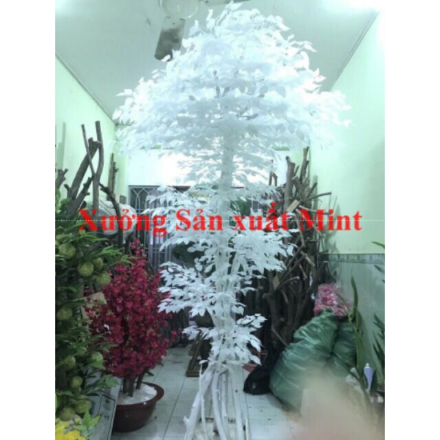 Sỉ bó 10 Cành lá si trắng - Lá giả