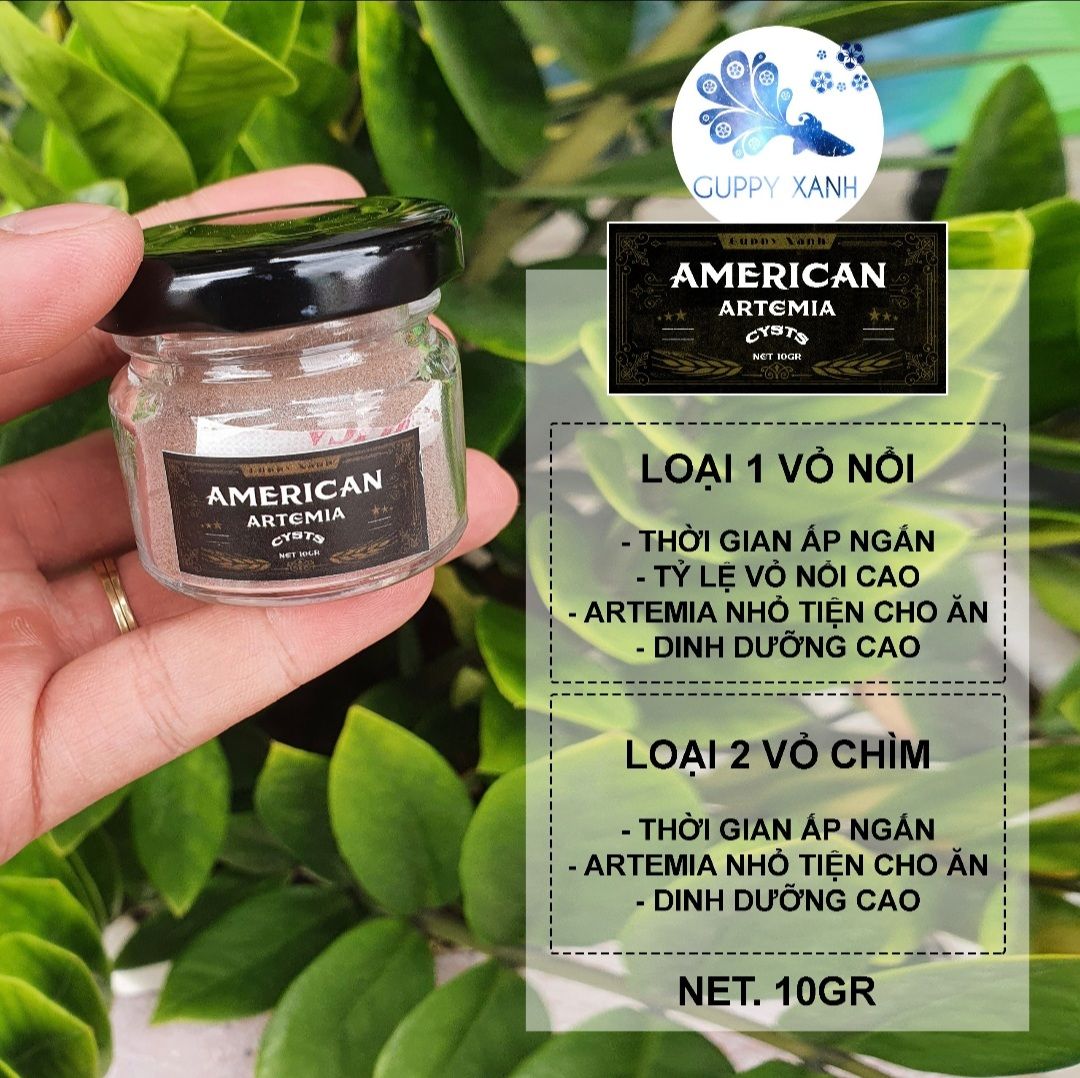 Artemia Mỹ chuyên cho cá con mới nở , betta bột, guppy -