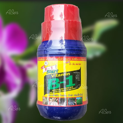 Vitamin B1 Thái lan Chai 500ml