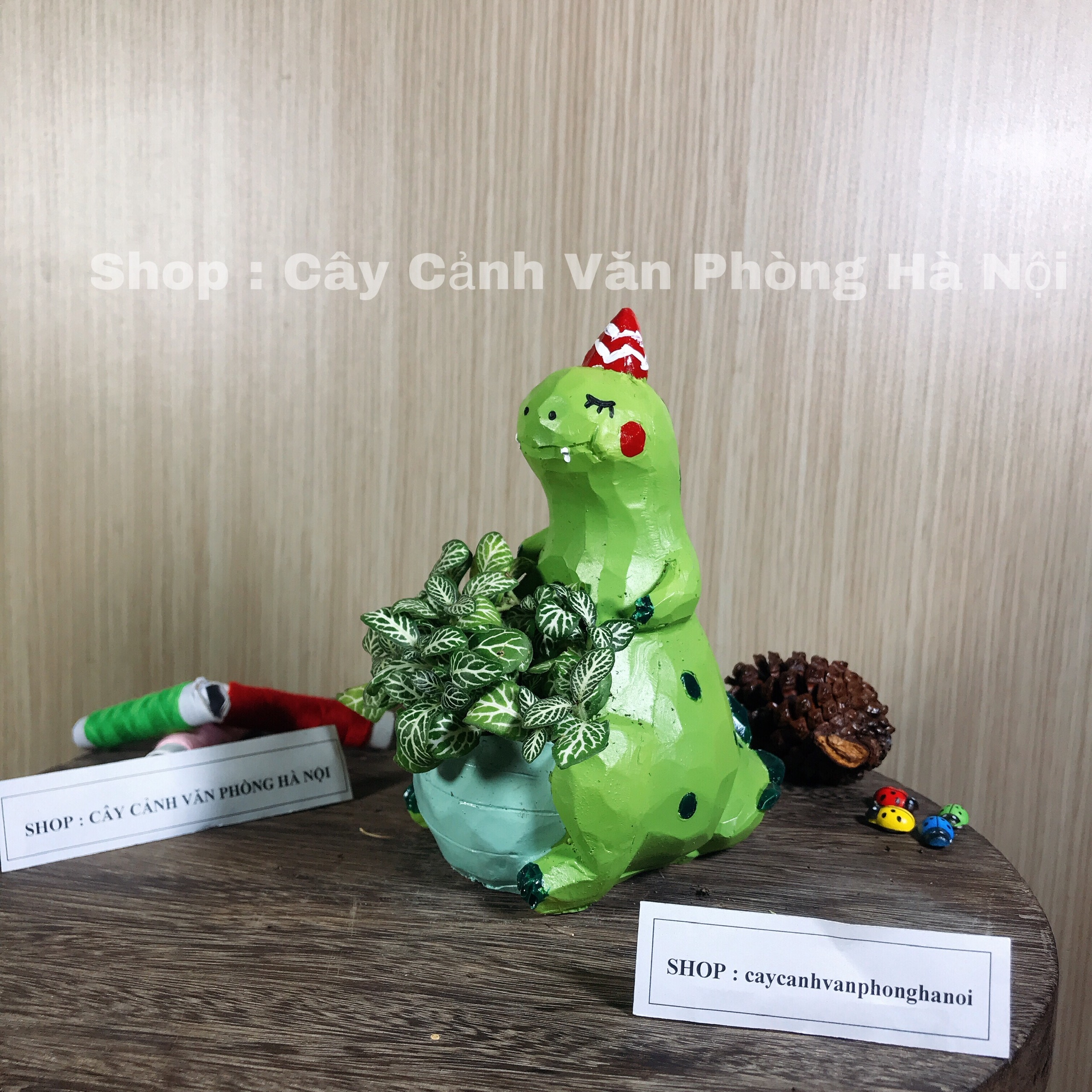 chậu trồng cây hình khủng long xanh [ tặng kèm đất trồng cây ]