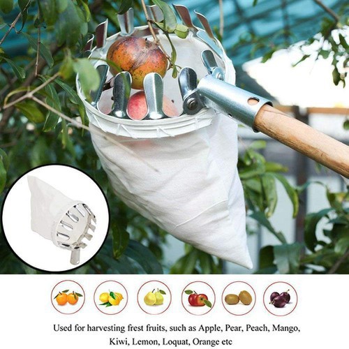 Đầu Sào Hái Hoa Quả Thông Minh Loại Tốt