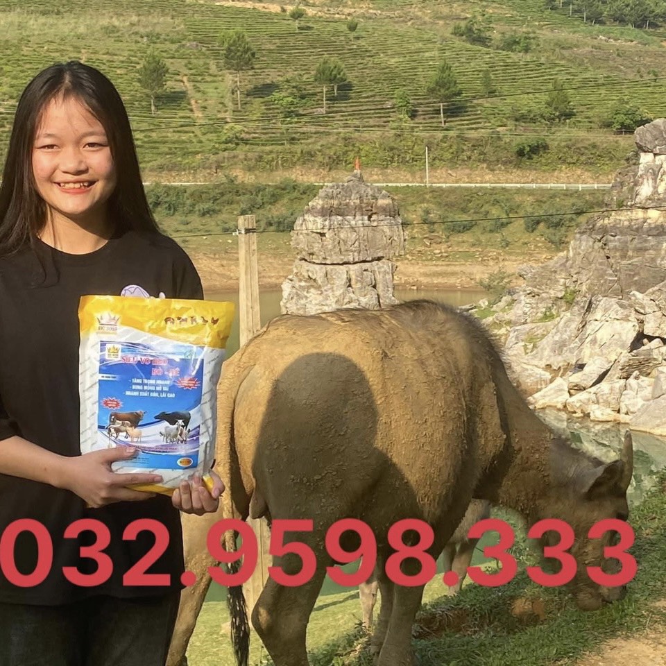 Siêu Vỗ Béo Bò Dê, Hàng Chuẩn Công Ty BigBoss