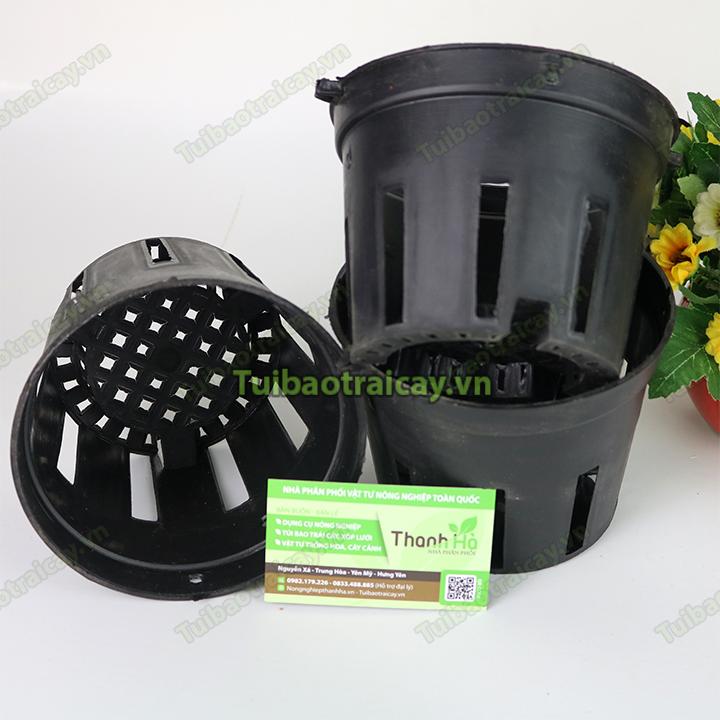 5 Chậu nhựa trồng lan phi 16cm