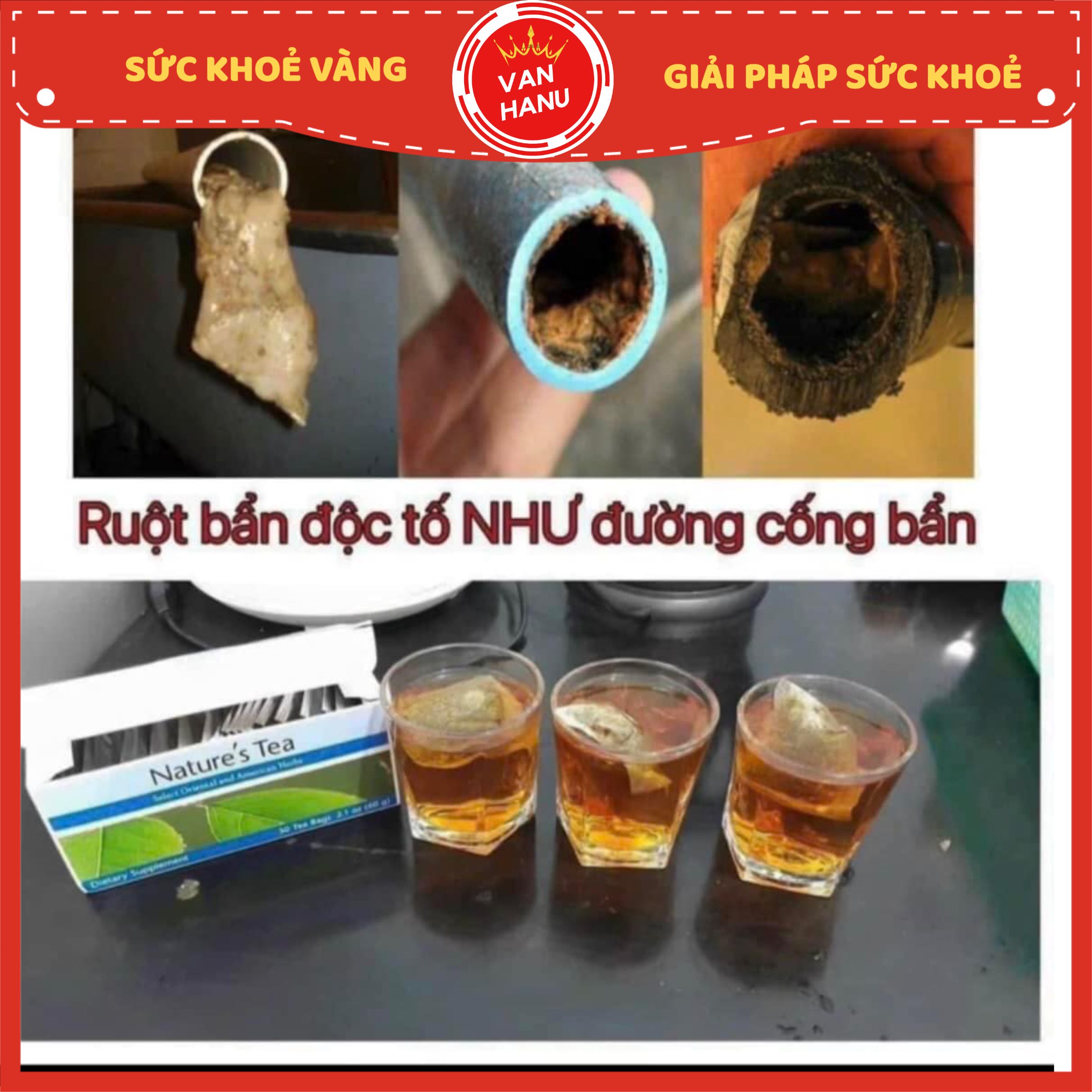 Trà Thải Độc Ruột Già - lifiber - VanHanu - Sức Khoẻ Vàng