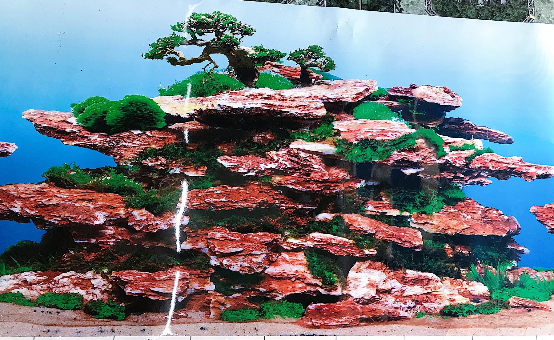 "hoàn tiền đến 10%" tranh dán hồ cá 2 mặt cao 50cm mẫu ngẫu nhiên
