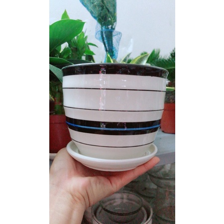 Chậu Trồng Cây (chậu sứ)