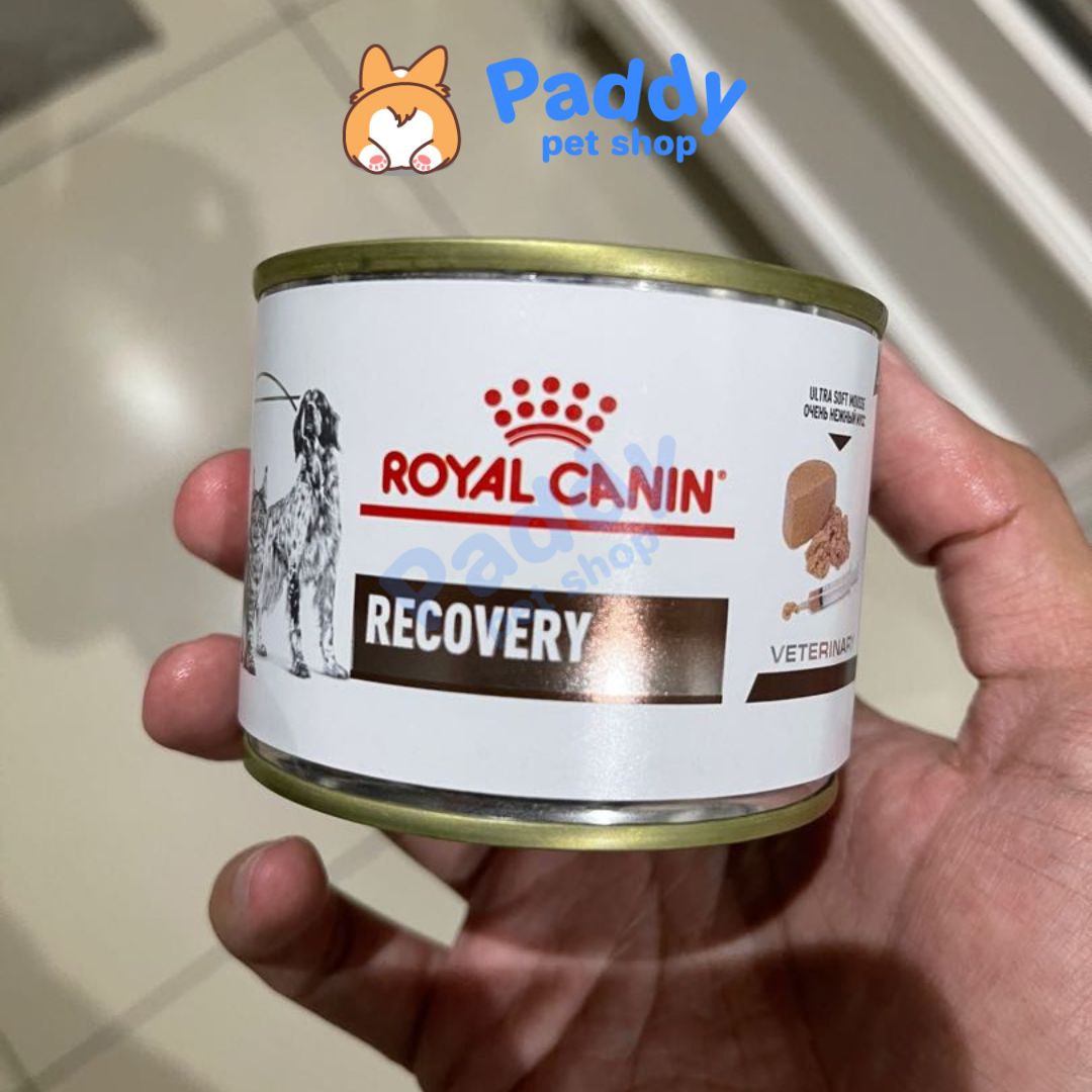 [Lon 195g] Pate Cho Chó Mèo Phục Hồi Sức Khỏe Royal Canin Recovery