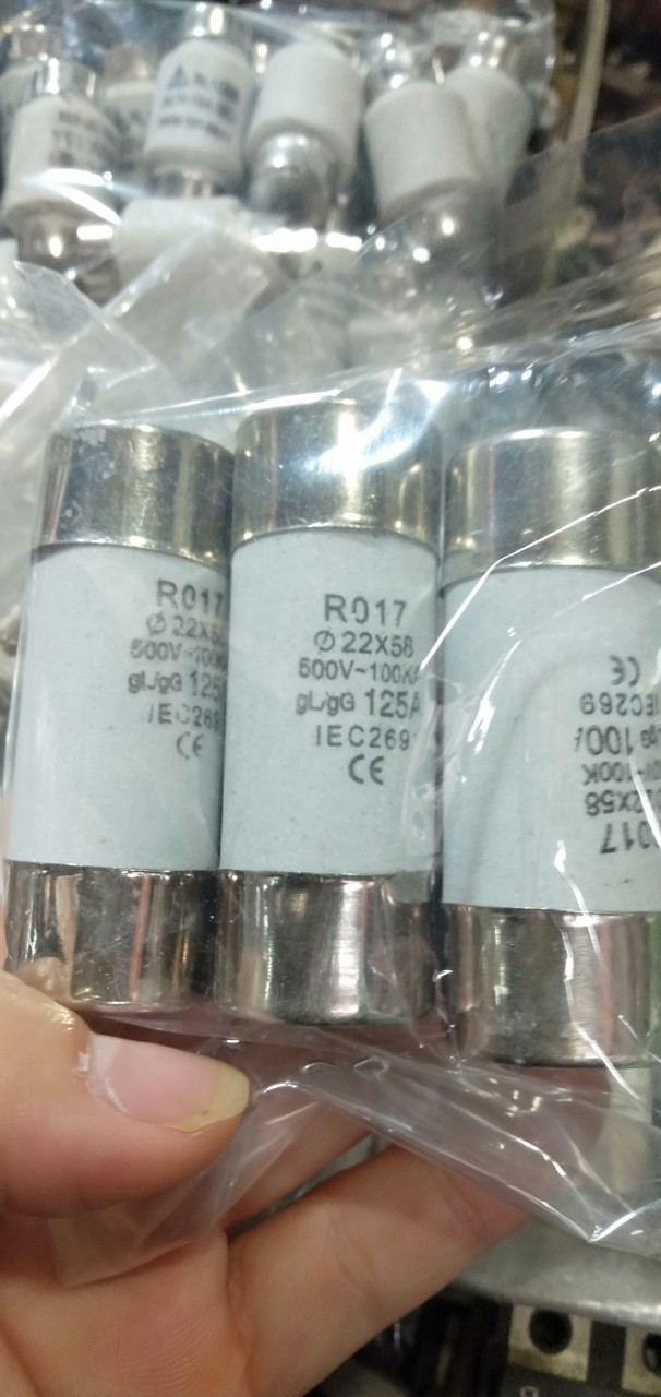 cầu chì sứ 125A 22x58 - Điện Tử Nhật Anh
