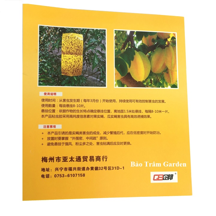 Set 5 miếng dán bẫy ruồi vàng kích thước 21x19cm