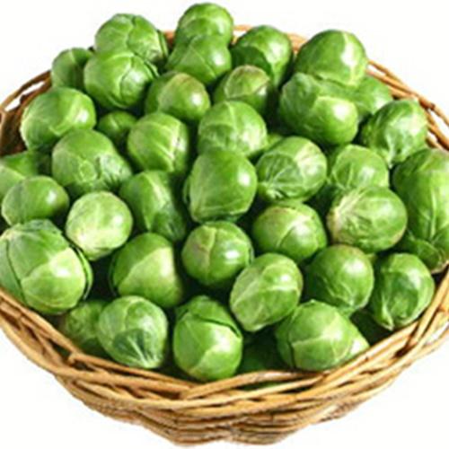 Hạt Giống Rau Bắp Cải Mini F1. Túi 10 hạt - Năng Xuất Cao - Rất Bổ Dưỡng - Kèm Quà Tặng