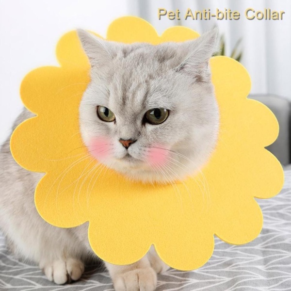 *HCM* Vòng cổ chống liếm cho chó mèo hình bông hoa nhiều màu chất liệu đẹp.
