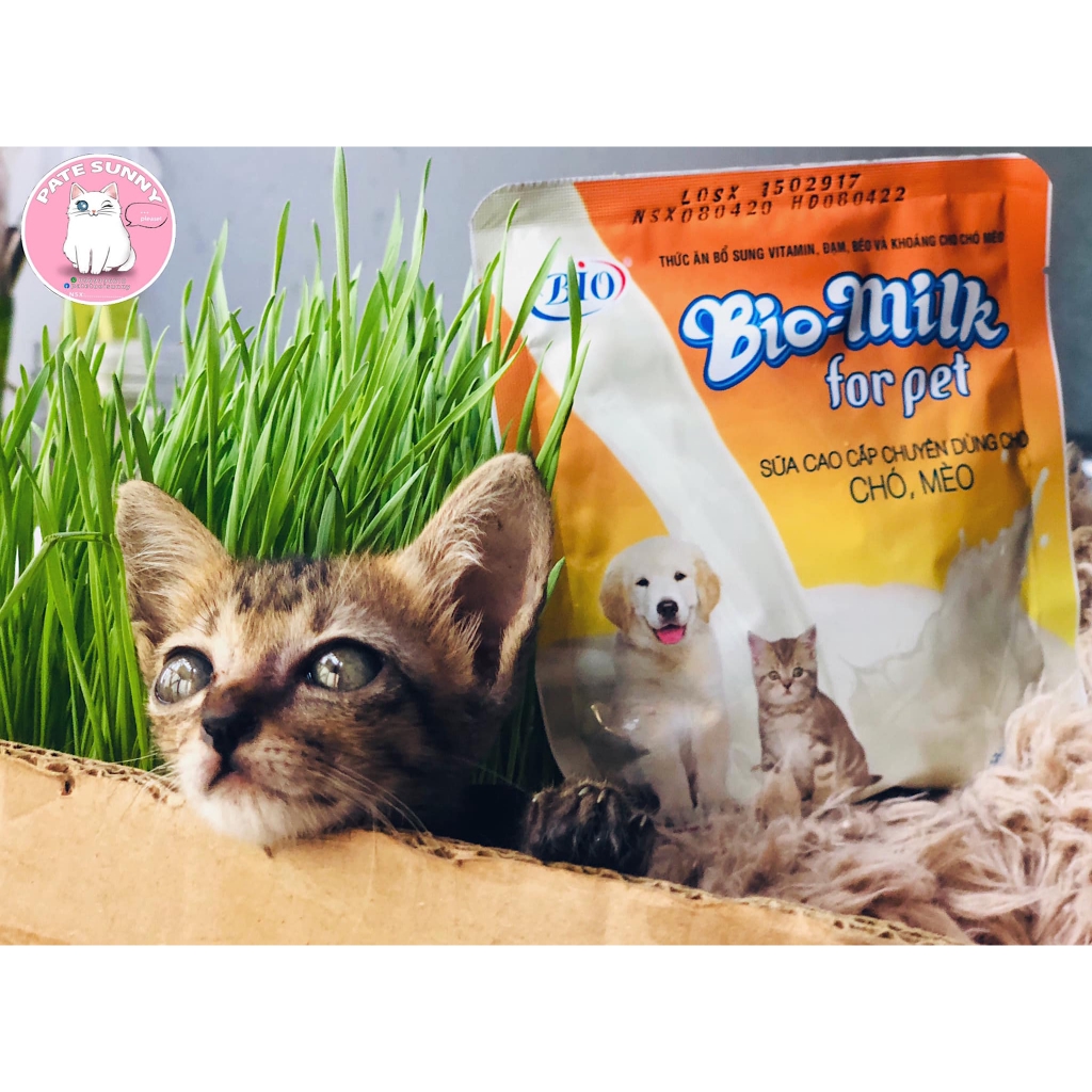 Sữa bột Bio Milk dành cho chó mèo sơ sinh - gói 100g