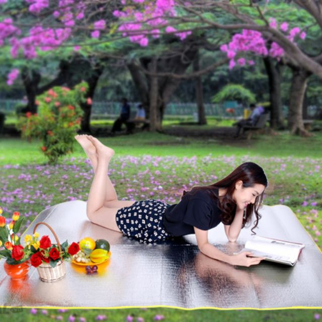 Chiếu Bạc Văn Phòng Du Lịch 1m X 1m9