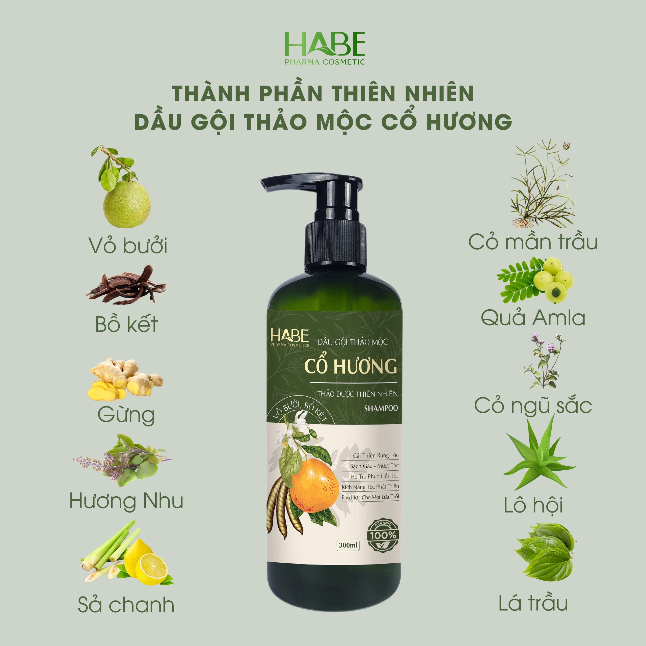 Combo Gội Xả Xịt Cổ Hương