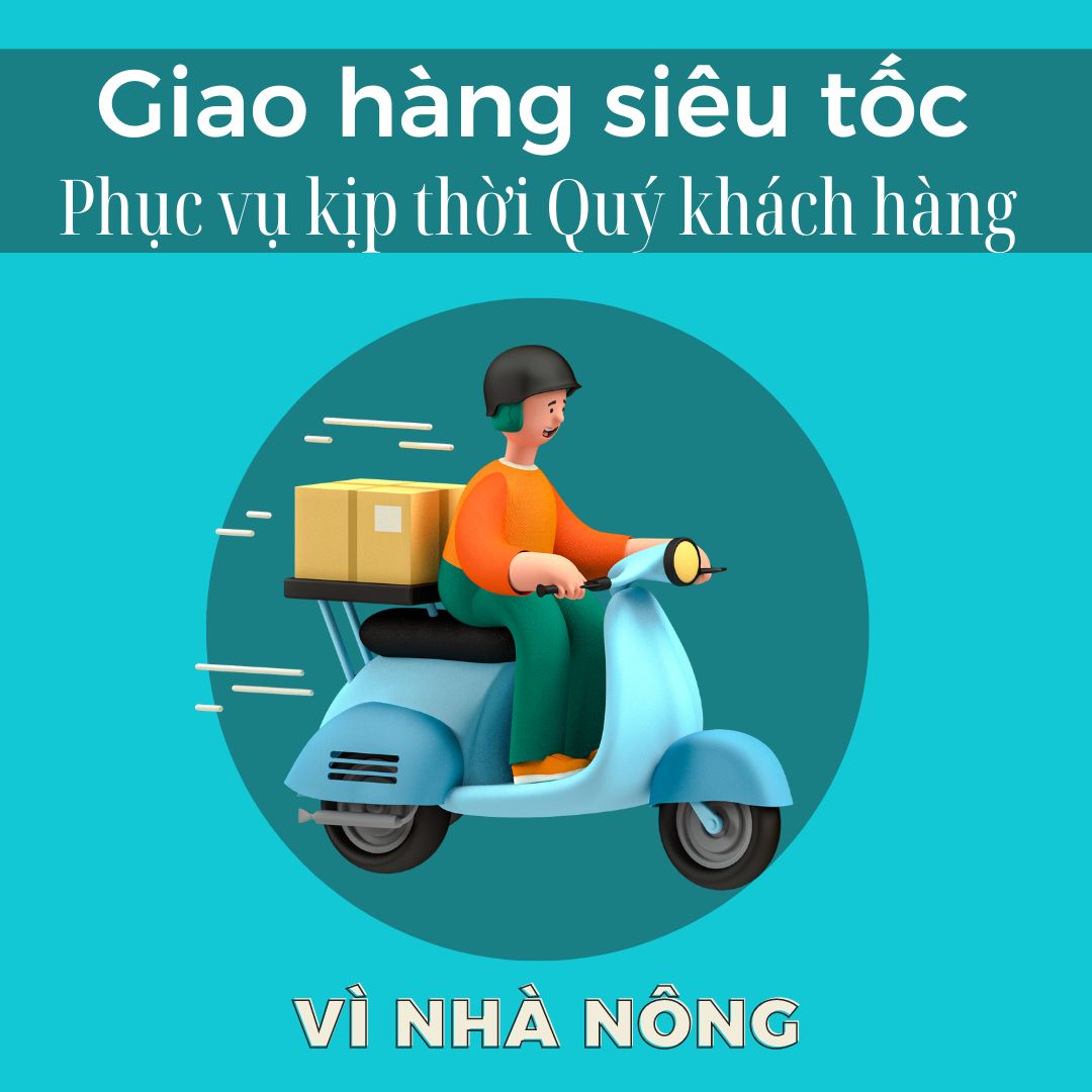Bút Bi Mực Xanh - Bền Đẹp
