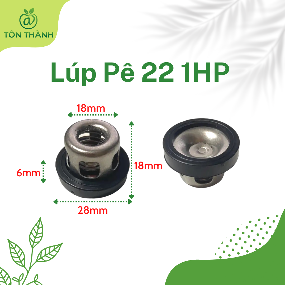 LÚP PÊ ( LUPPE ) VAN 1 CHIỀU ĐẦU XỊT RỬA XE 0.5HP 1HP 2HP SET 6 CÁI