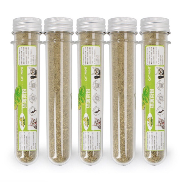 Cỏ mèo catnip cỏ bạc hà cho mèo