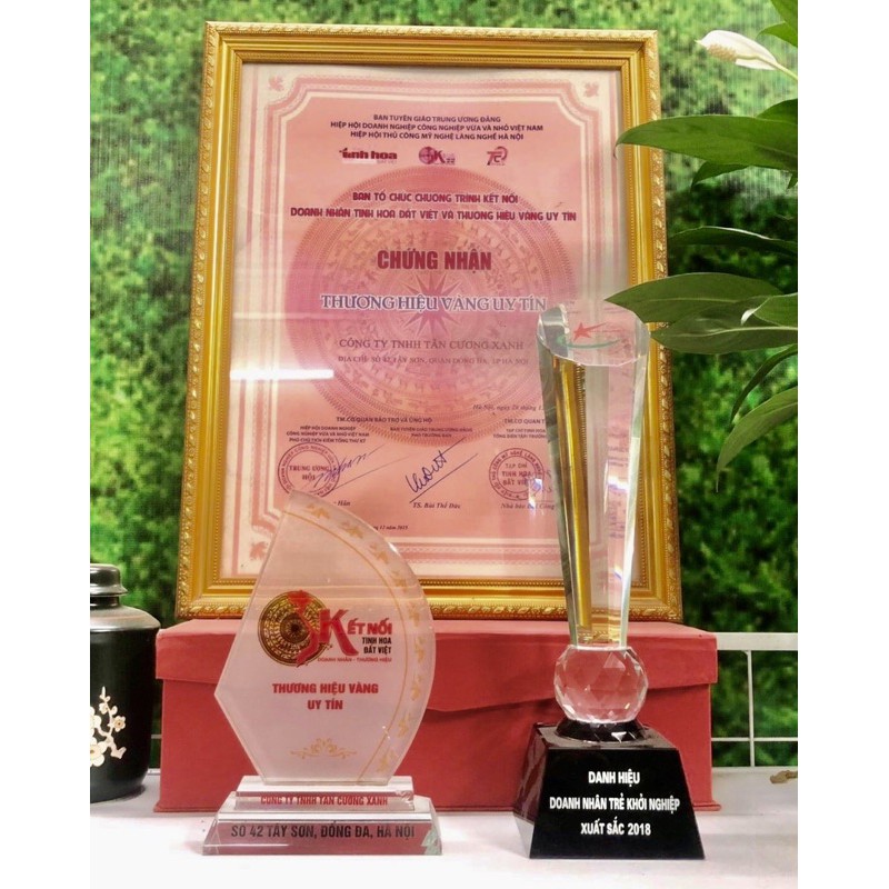 Bột Trà Xanh 100gr TÂN CƯƠNG XANH