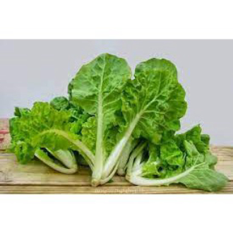 [gói 10g] Hạt Giống Cải Bẹ Dún