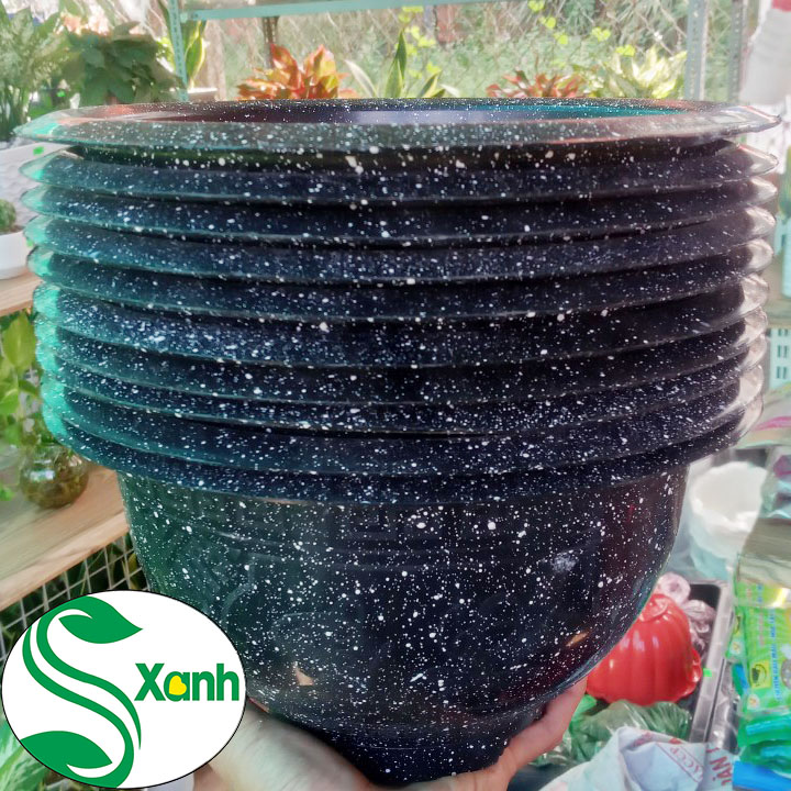 Bộ 5 chậu nhựa đen giả đá t28