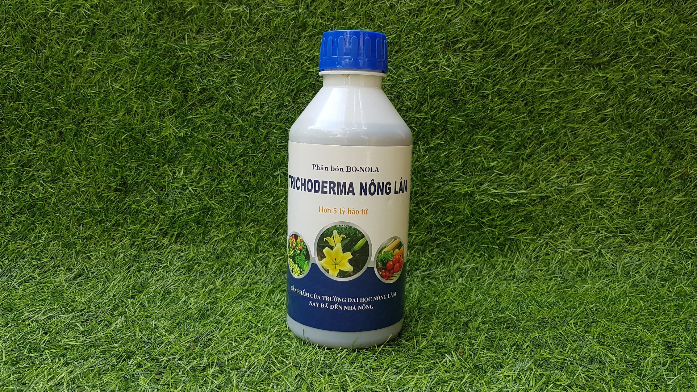 Trichoderma đh nông lâm dạng nước chai 1lít