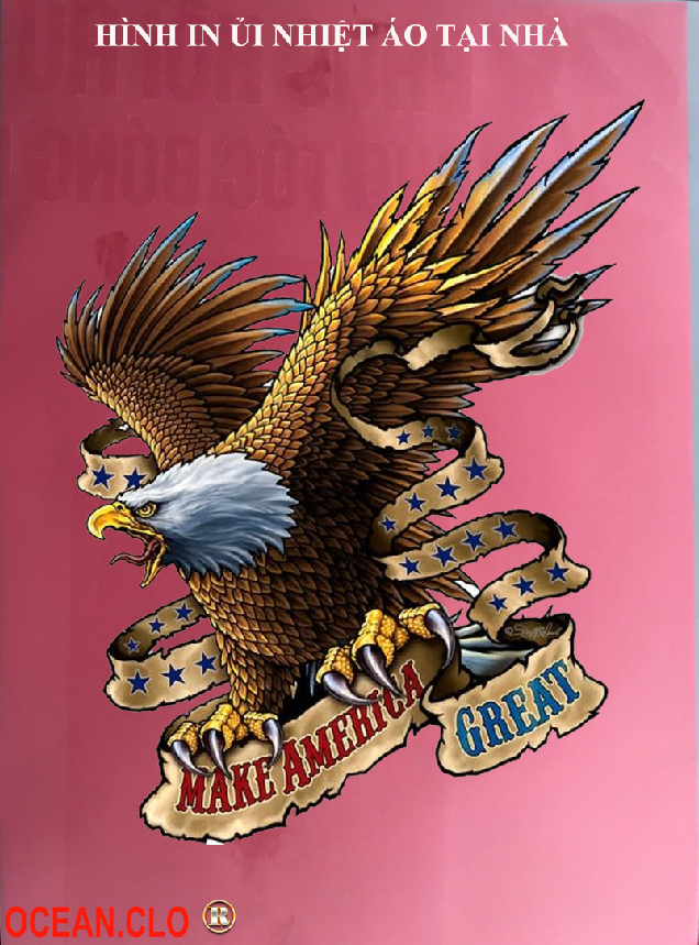 Sticker Logo American Eagle