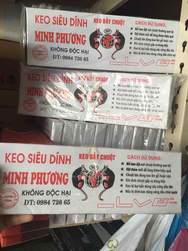 Combo 5 HỘP  keo siêu dính chuột (BẪY CHUỘT)