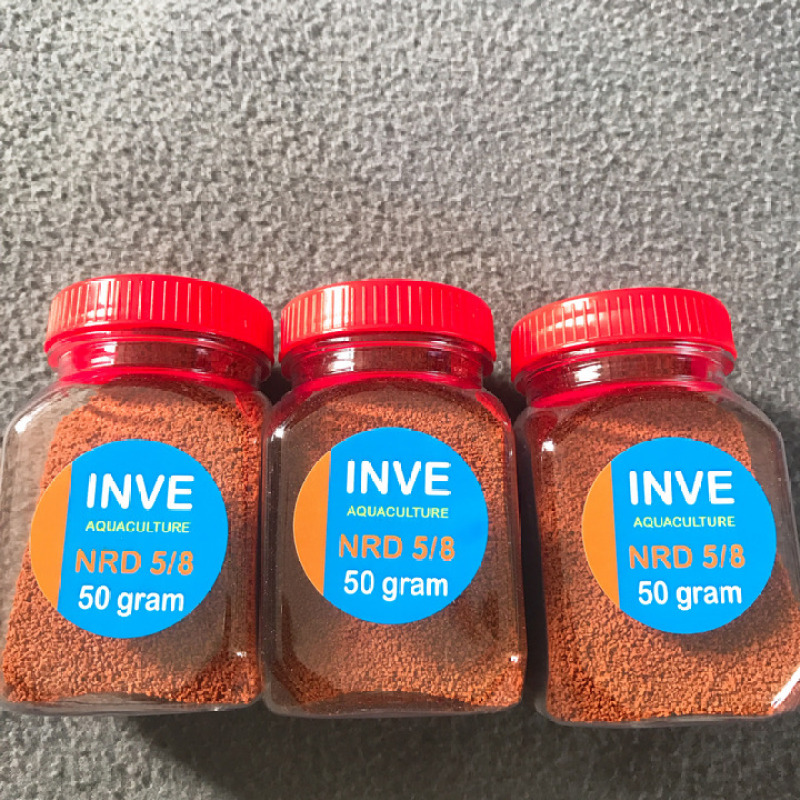 3 hủ Cám Thái Inve 5/8, 1 Hủ 50g, Thức Ăn Cá Cảnh, Cám Cá Con, Cá 7 Màu, Betta, cá thủy sinh