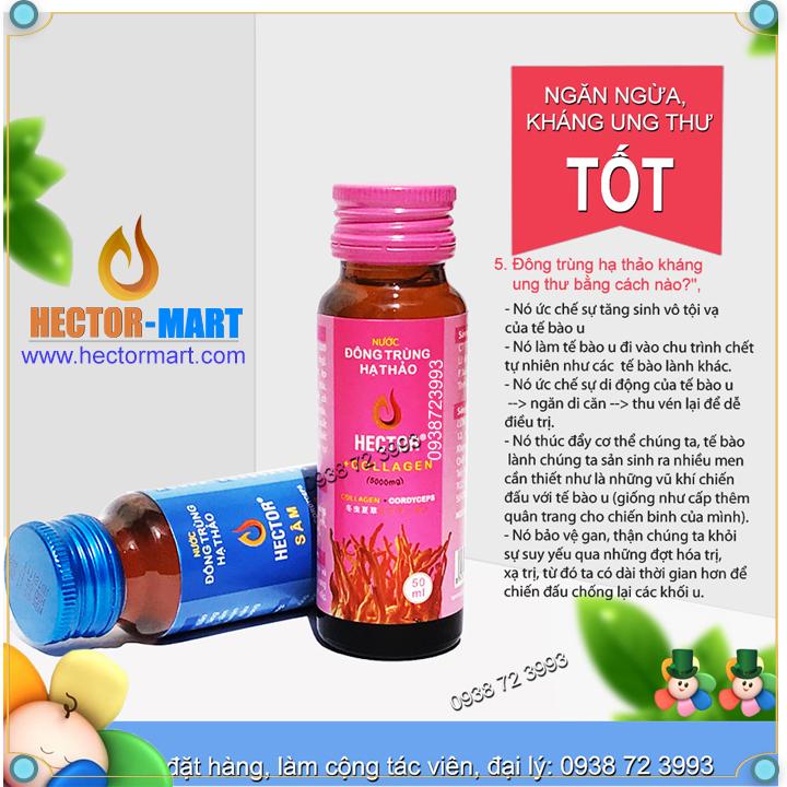 Nước Uống Đông trùng hạ thảo HECTOR COLLAGEN (Hộp 10 Chai)