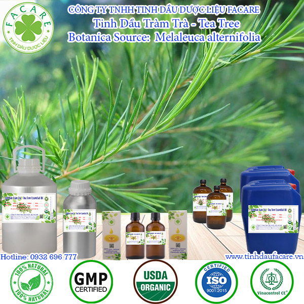 Tinh dầu Tràm Trà Tea tree essential oil - 10ml