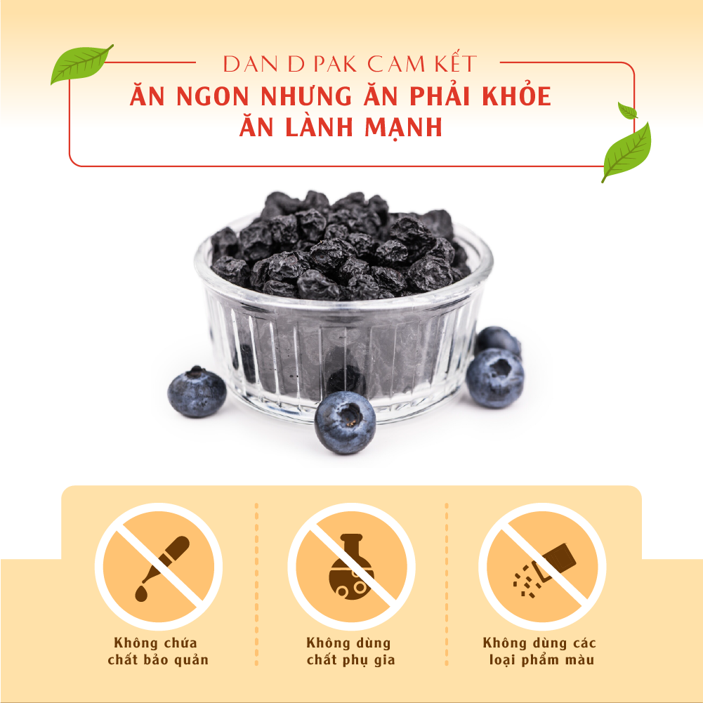 Combo Ưu Đãi - Việt Quất Khô Dan D Pak I Dried Blueberries I 100g