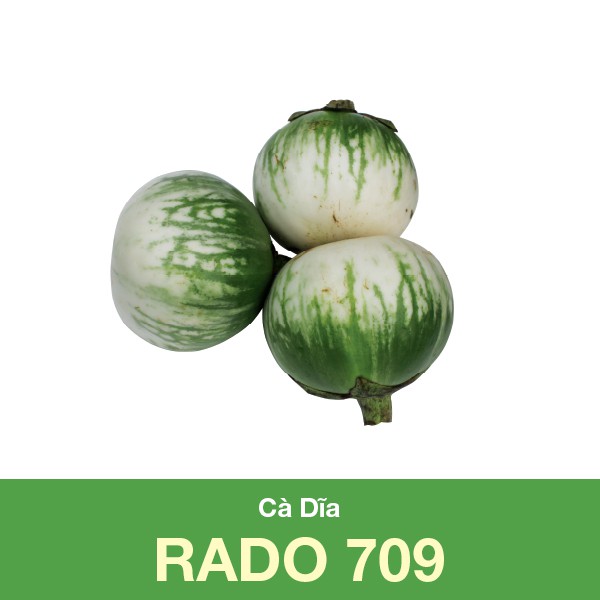 Hạt Giống Cà Dĩa Giòn, Sai Trái 0.5Gram