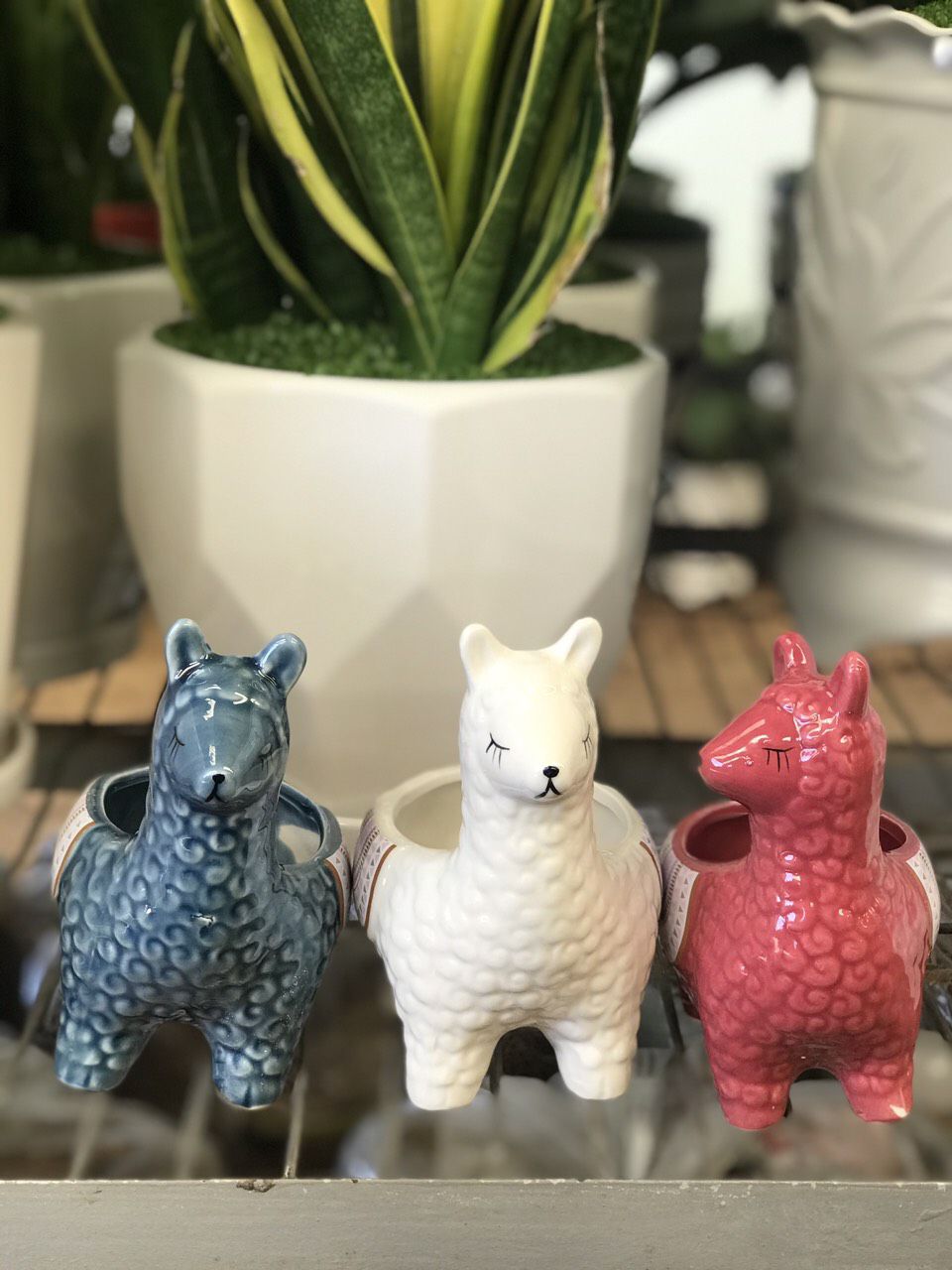 chậu gốm mini hình thú như hình