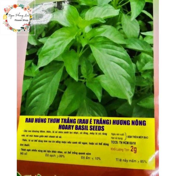 Hạt giống rau húng thơm rau é trắng - gói 2 gram