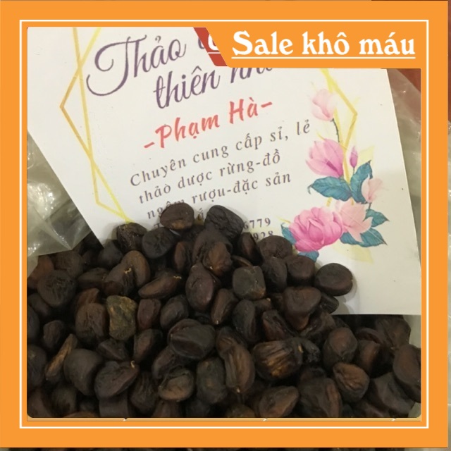 100g Hạt Dổi Rừng (Hạt Dổi Nếp Tây Bắc)
