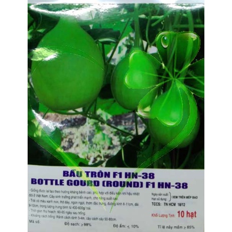 Hạt giống bầu tròn F1 - Gói 10 hạt