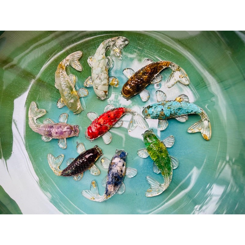 Cá Koi Phong Thuỷ,Bày Bát Tụ Thuỷ, Bể Cá