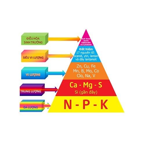Phân Nước Đa lượng Macros K+ Cho Hồ Cá Thủy Sinh