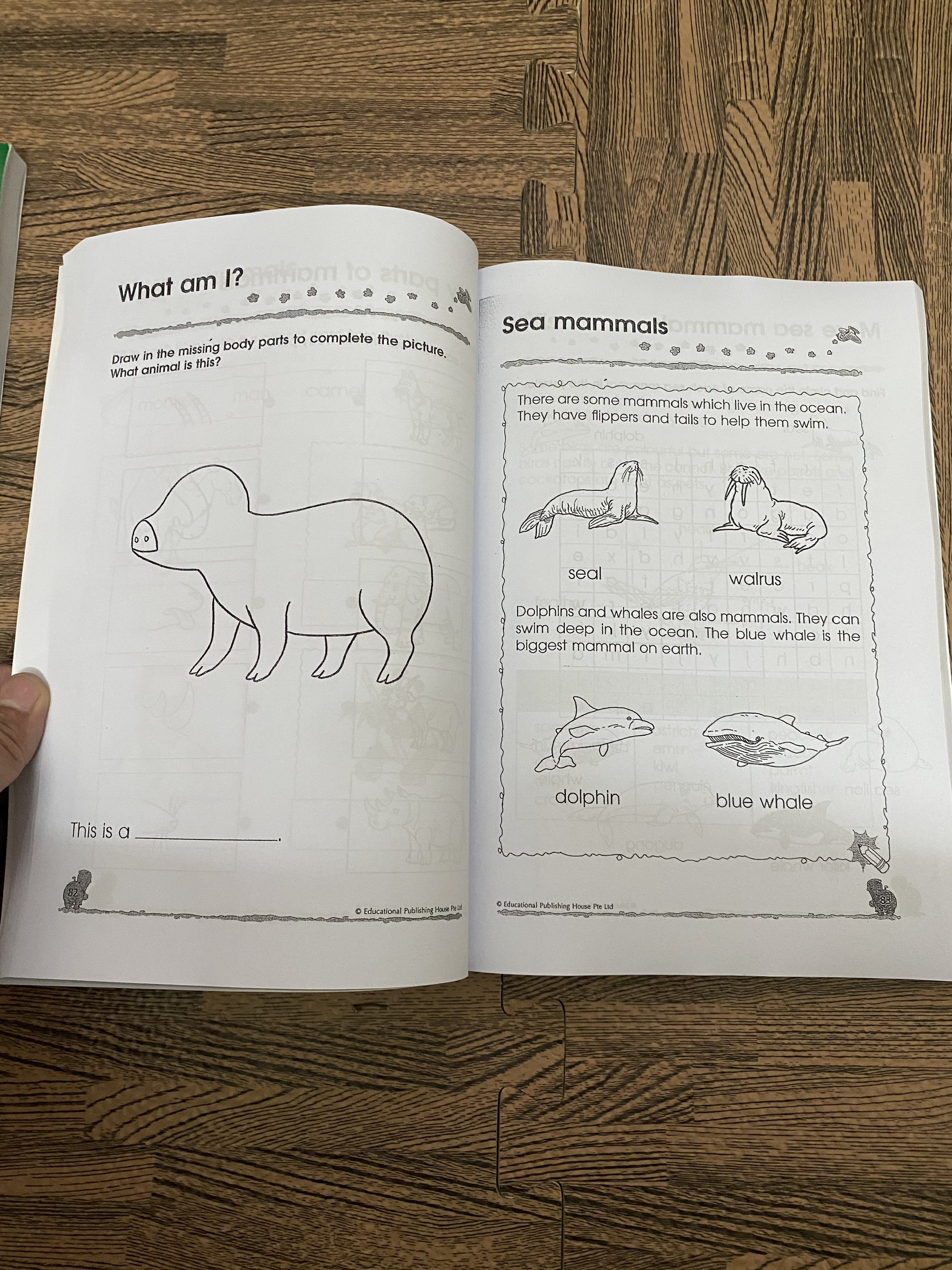 sách 300 Kindergarten - English - Maths - Science