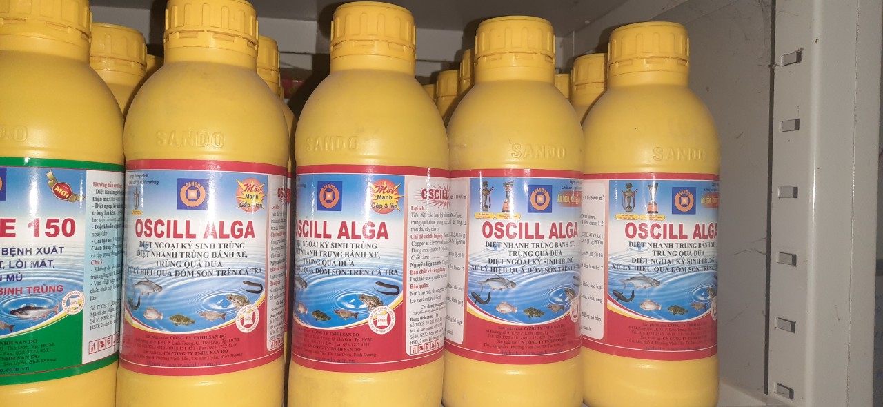 DIỆT KHUẨN OSCILL ALGA[ MUA 5 TẶNG 1] [SANDO]