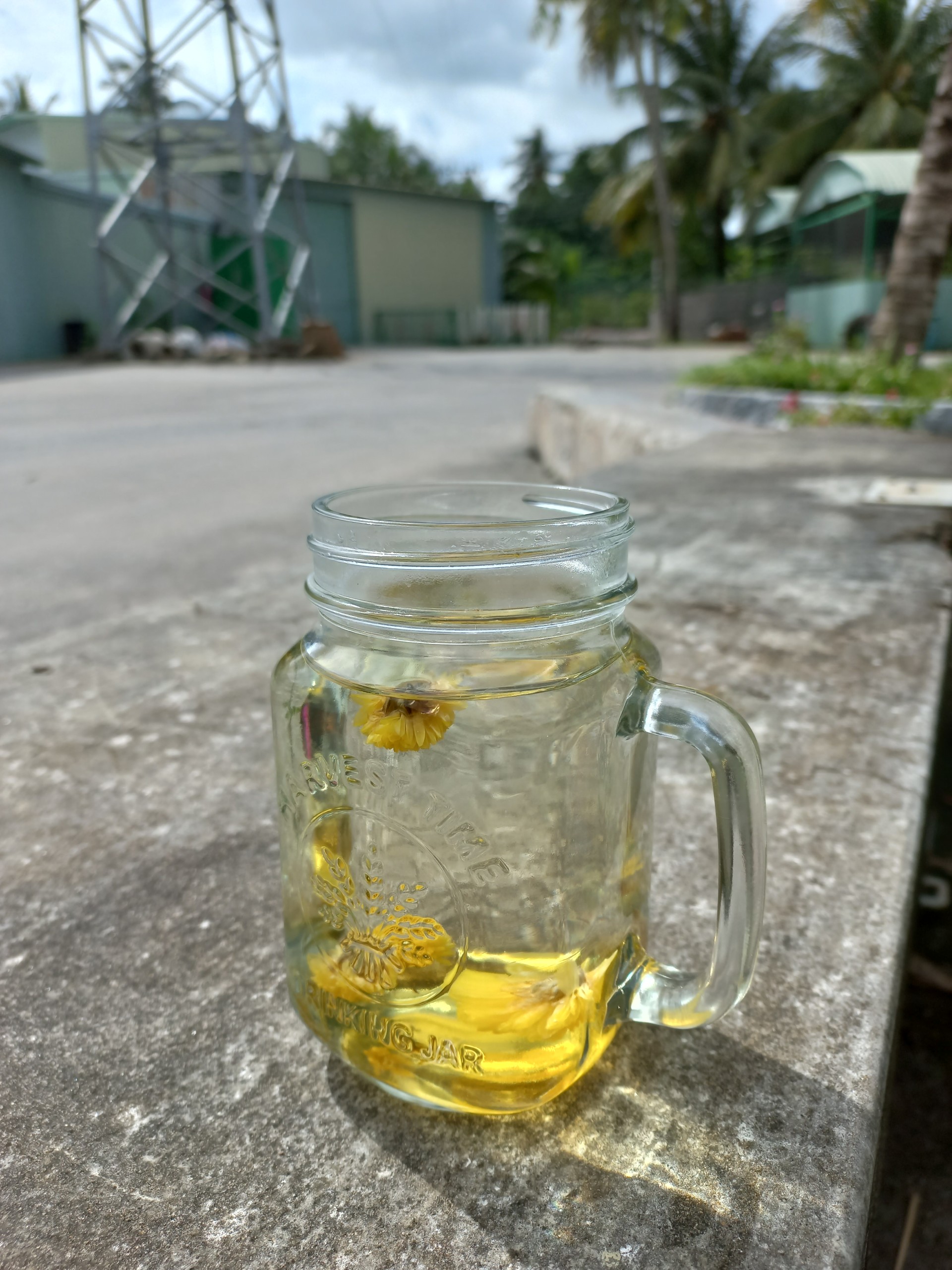 🌼(200GR) TRÀ HOA CÚC ĐƯỜNG PHÈN MẬT ONG🌼