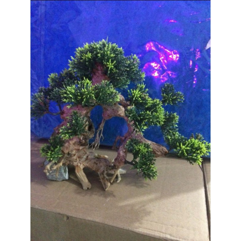 Lũa bonsai ghép cây giả, lũa bonsai thủy sinh, trang trí bể thủy sinh