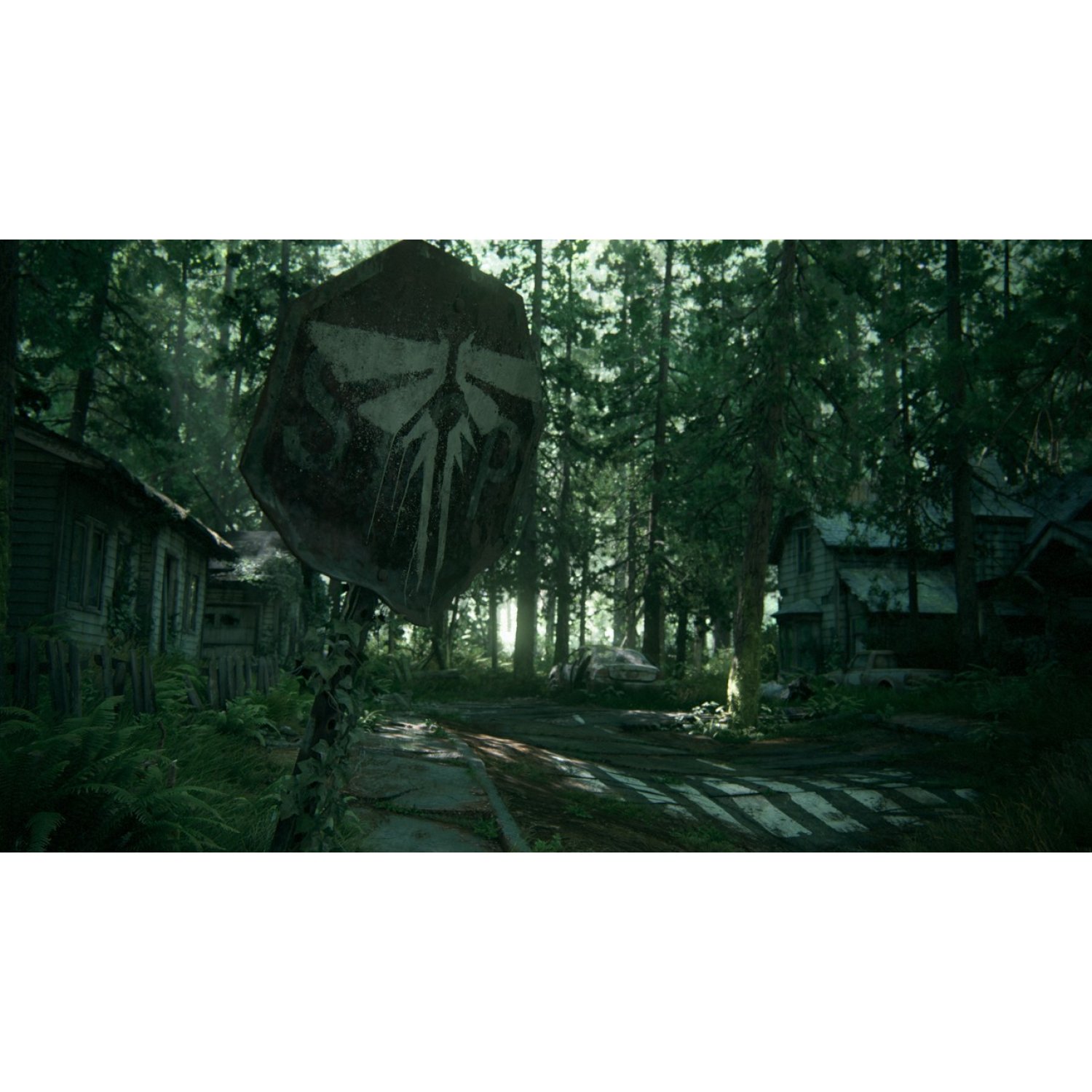 Đĩa Game PS4: The Last of US Part 2