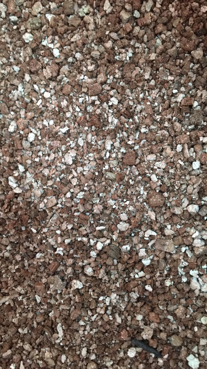 đá Vermiculite gói 500gr size 3-5m