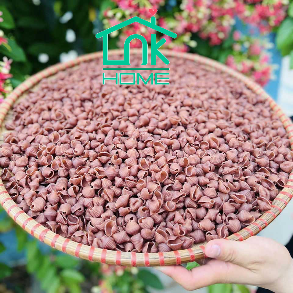 Nui sò gạo lứt Organic