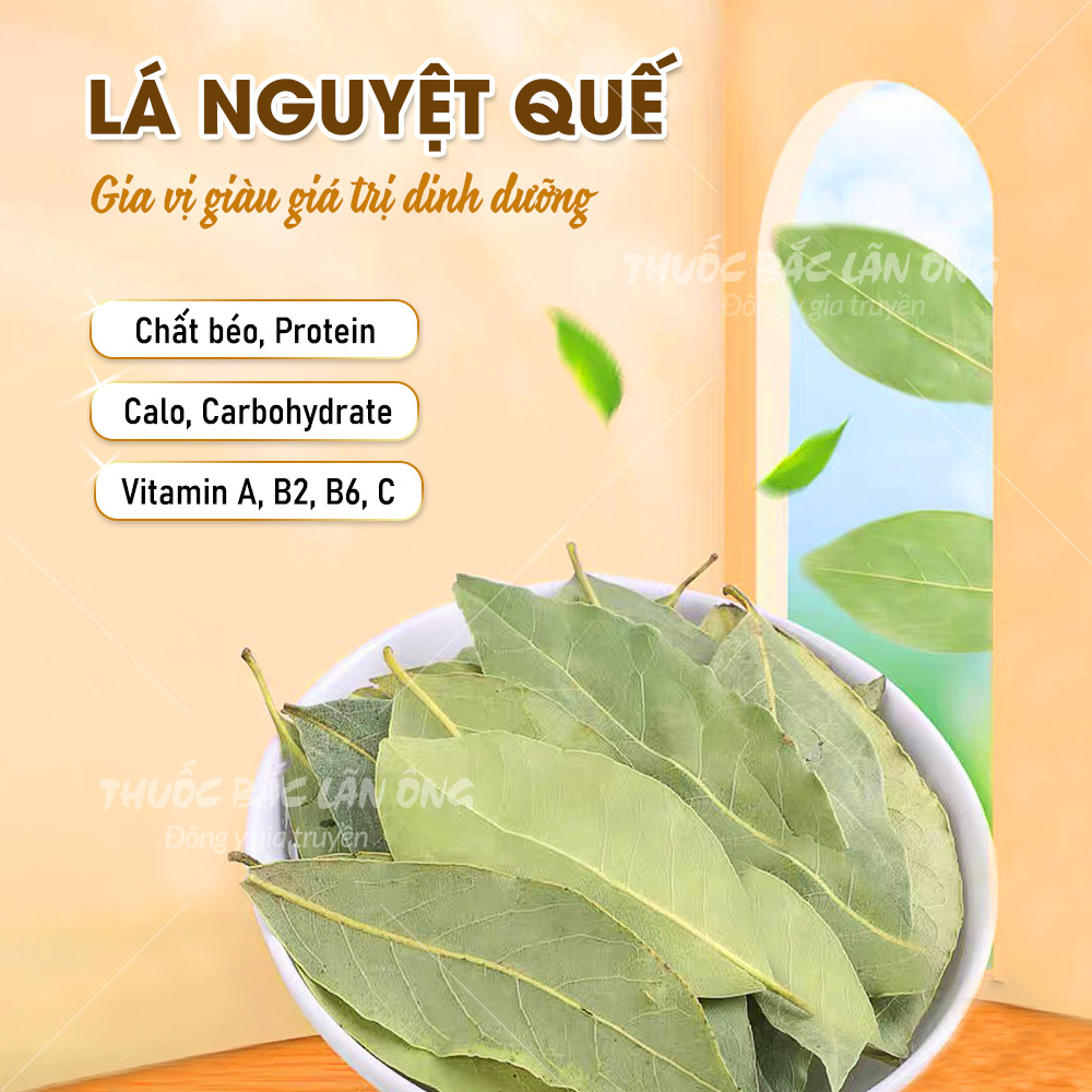 Lá nguyệt quế khô 100g, lá bay leaf, viết điều ước, decor trang trí, gia vị nấu ăn thơm ngon