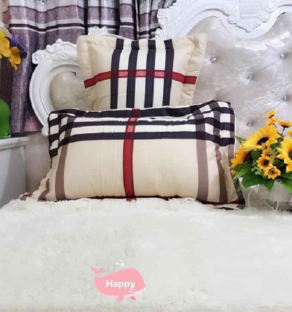 (FreeShip MAX) Combo 2 Ruột Gối Kèm Vỏ Gối (Ép Chân Không)
