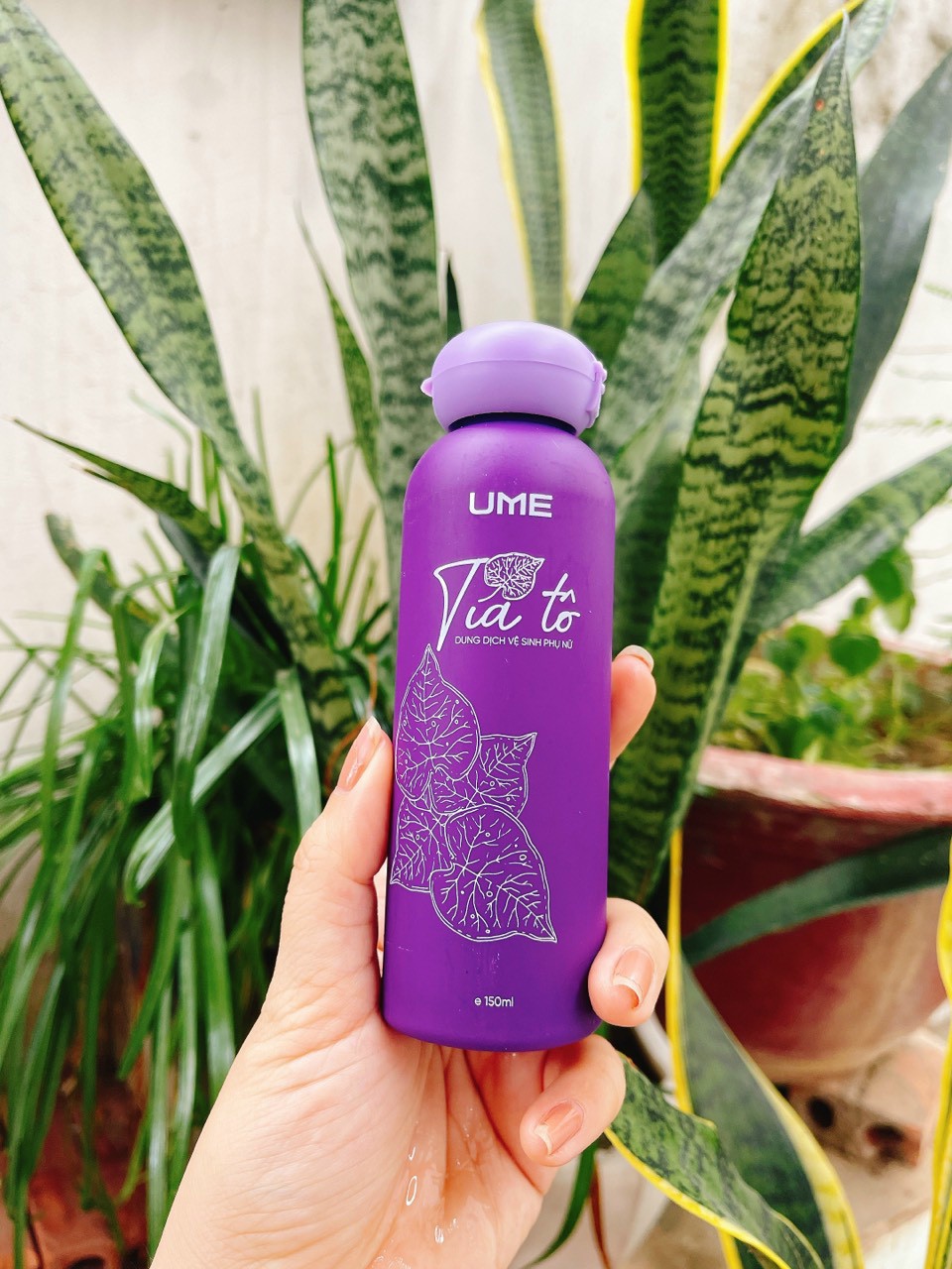 DUNG DỊCH VỆ SINH PHỤ NỮ UME TÍA TÔ