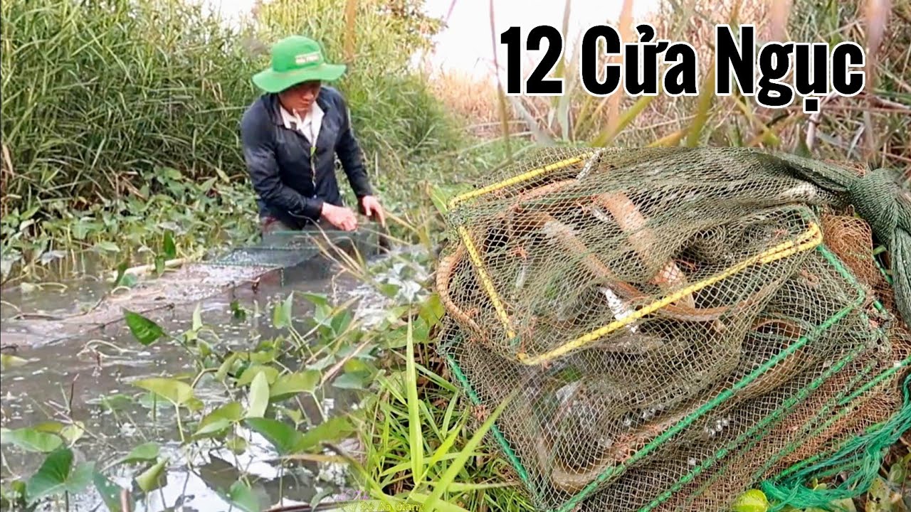 Lú dây, Lú bát quái 12 cửa ngục bắt tôm cá dài (25x35 cm)